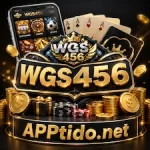 WGS 456 Game