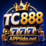 TC888 Game